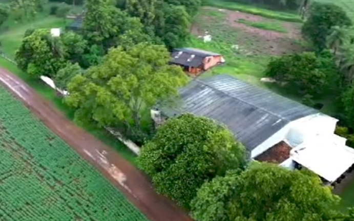 Imagem 3